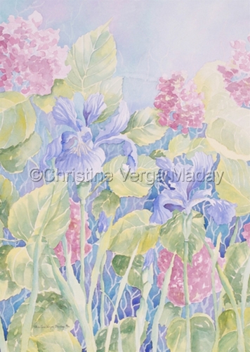 Summer Blooms