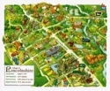 City Map