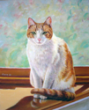 Chung Ae Kim - Animals Painting cat, window - Animals Painting