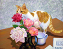 Cheery and the Rose