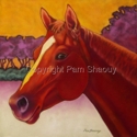 Maddie by Pam Shaouy (thumbnail)