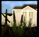 Purple%20house%20with%20poppies (thumbnail)