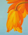 Tupelo Honey