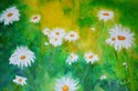 Delightful%20Daisies (thumbnail)