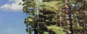 Painting--Oil-LandscapeOut of the Woods