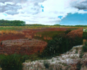 Cranberry%20Bog%2C%20Pine%20Barrens (thumbnail)