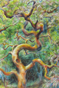 Dancing%20Branches (thumbnail)
