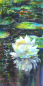 Lilypond%20Reflections (thumbnail)