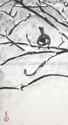 Chickadee%20in%20the%20Snow%20%231 (thumbnail)