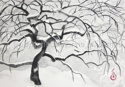 Japanese%20Maple%20in%20the%20Snow%20%231 (thumbnail)