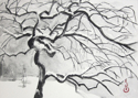 Japanese%20Maple%20in%20the%20Snow%20%232 (thumbnail)