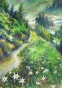 Avalanche%20Lilies (thumbnail)