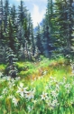 Catherine James, Catherine M. James, Catherine M James, Cathy James, art, artist, watercolor, watercolors, painting, paintings, watercolours, alpine, meadow, erythronium montanum, avalanche lilies, lilies, Mt. Rainier, Spray Park, wildflowers, hiking, mountains - Landscape Painting