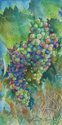 Ripening Ripening (thumbnail)