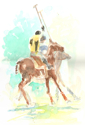 Polo -w/c