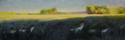 Afternoon Light