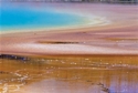 Photography--Color-AbstractGrand Prismatic Spring 2