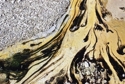 Photography--Color-AbstractNorris Basin 2