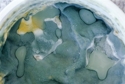 Photography--Color-AbstractYogurt