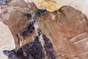Photography--Color-AbstractFlaming Rock 9