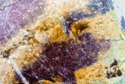 Photography--Color-AbstractOlympos 7