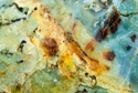 Photography--Color-AbstractOlympos 9