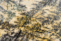 Photography--Color-AbstractPegasus 9
