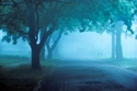Photography--Color-AbstractFog