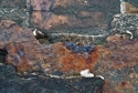Photography--Color-AbstractPatterns of Decay 4