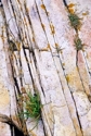 Photography--Color-AbstractFaultlines 1