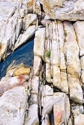 Faultlines 2