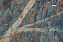 Photography--Color-AbstractIntrusion 1