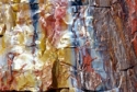Photography--Color-AbstractPetrified Wood 2