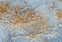 Photography--Color-AbstractSoda Lake