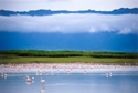 Photography--Color-AbstractColors of Ngorongoro