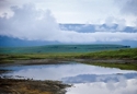 Photography--Color-AbstractAfter the Rain