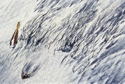 Photography--Color-AbstractDancing Sand 4