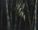 Afternoon Bamboo
