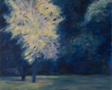 Huntington Gingko