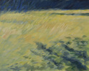 Huntington Grass