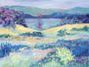 Ojai