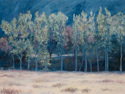 Malibu Creek Park