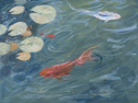 Koi #5