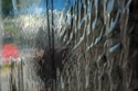 Photography--Color-Abstractmirrored 2