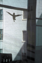 Photography--Color-Architecturecity wings