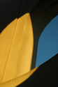 Photography--Color-Abstractedge2