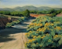 Carol Swann - Where my Heart Roams