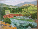 San%20Pedro%20Creek%20Green%20Tree (thumbnail)