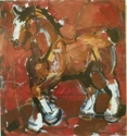 Show Horse