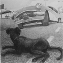 Charles David Viera - Decision Time For Blackie,2005